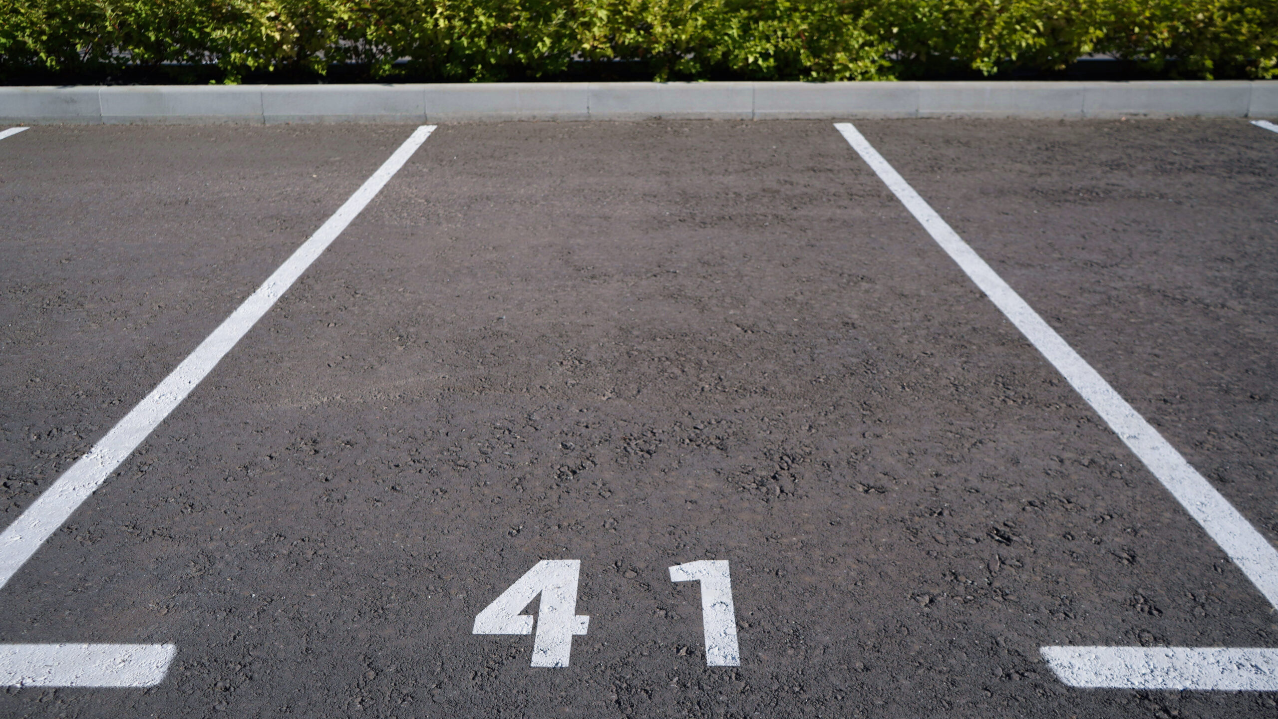 Do Tenants Without Vehicles Still Need Assigned Parking Spots?